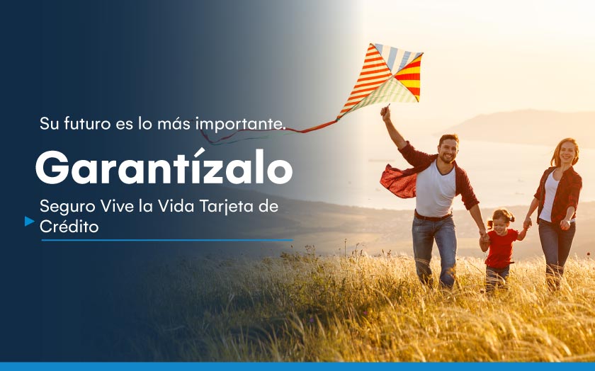 Banner Seguro vive la vida