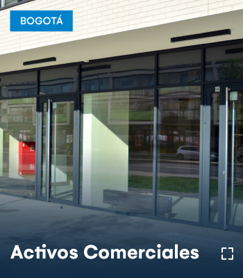 ACTIVOS COMERCIALES