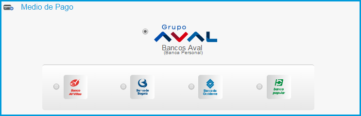 Cómo realizar tus pagos