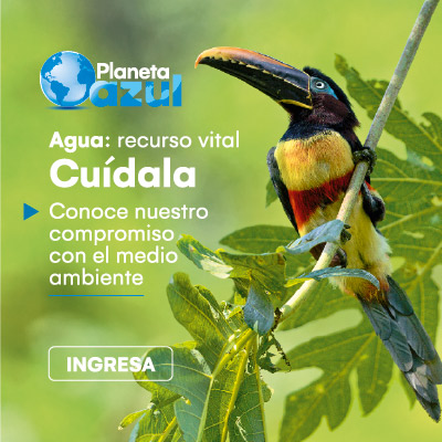 cuidemos el medio ambiente