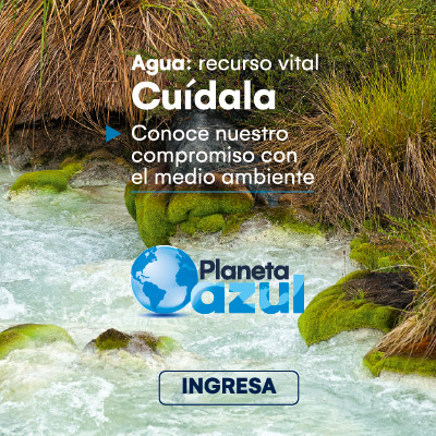 cuidemos el medio ambiente