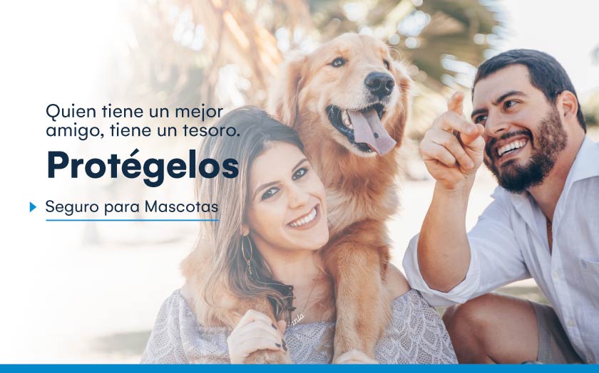 Banner Seguros para Mascotas SURA