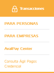 Cómo realizar tus pagos