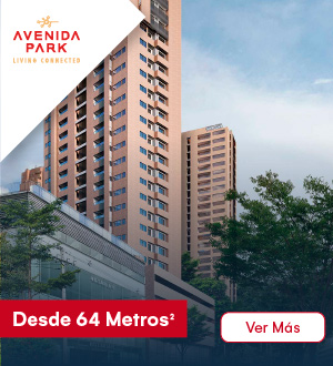 avenida park