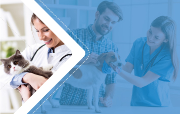 Aliado Veterinariazamudio