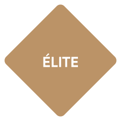 Logo Segmento Elite