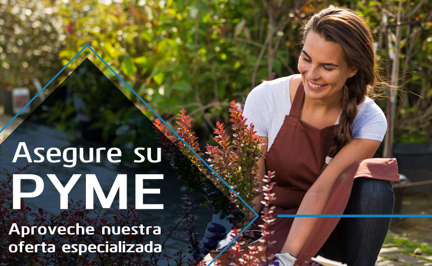 Asegura Tu Pyme