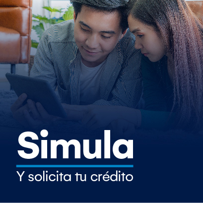 Joven Pareja simulando y solicitando online un credito de vehiculo