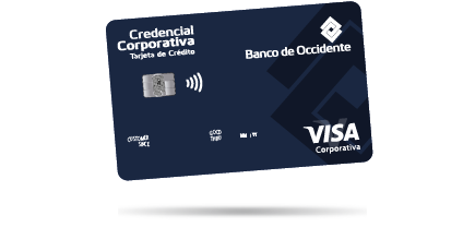 Visa Corporativa