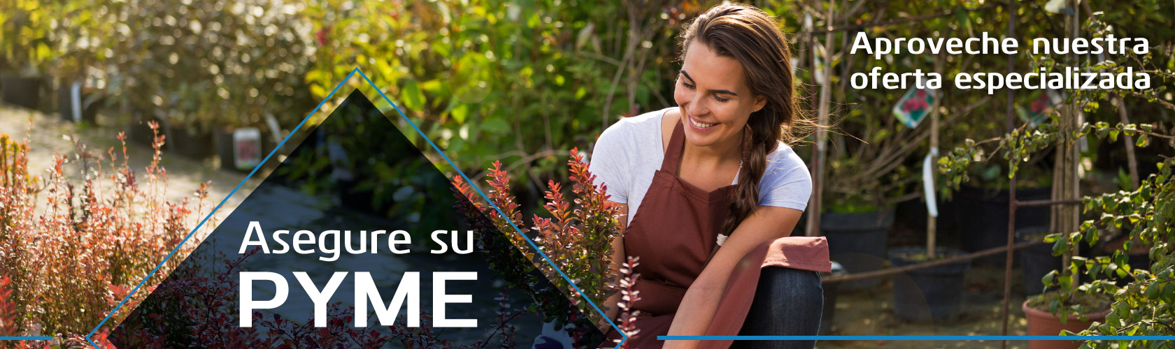 Asegura Tu Pyme