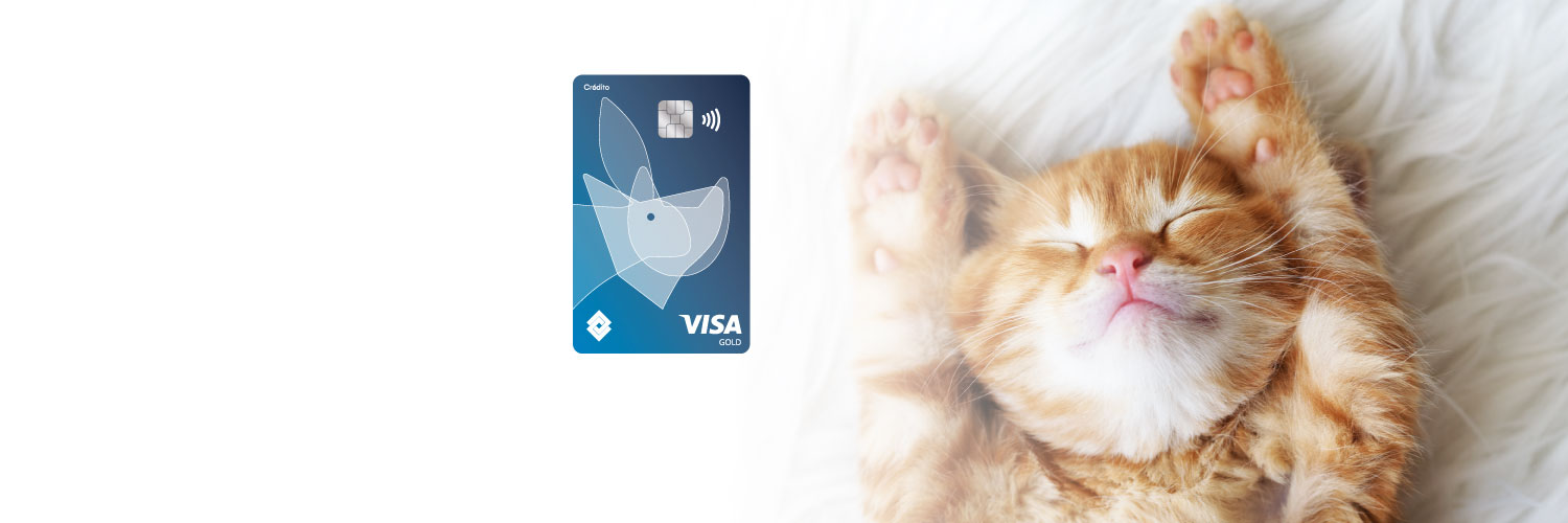 Gato y perro disfrutando de la Tarjeta de Crédito Crendencial - Mascotas