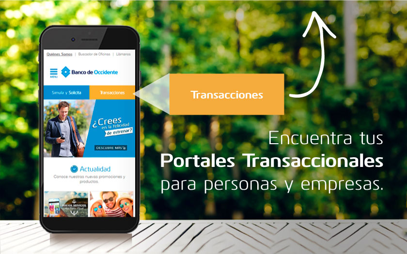 Zona Transaccional