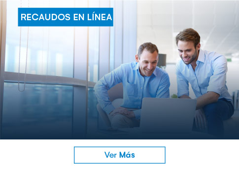 Recaudos en línea