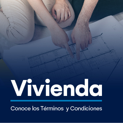 Terminos y condiciones vivienda