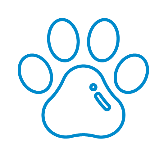 seguros para mascotas banco de occidente